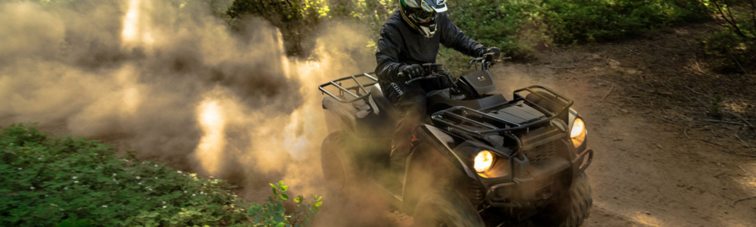 2020 Brute Force 300 for sale in Wildhorse Powersports, Bend, Oregon
